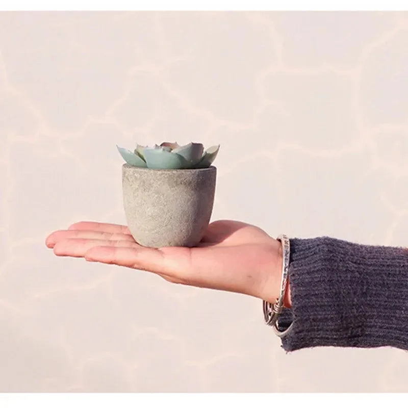 Mini Plantas Artificiales de Aloe en Maceta para Escritorio