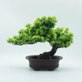 Bonsái Artificial Decorativo para Escritorio y Estantería